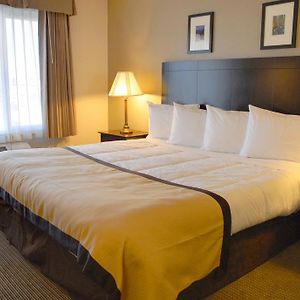 King Room Mobility accessible